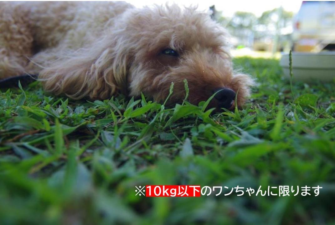 Picnic　Garden Ξενοδοχείο Awaji Εξωτερικό φωτογραφία